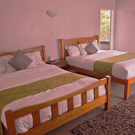 Newlands Court Motel Веллингтон Экстерьер фото