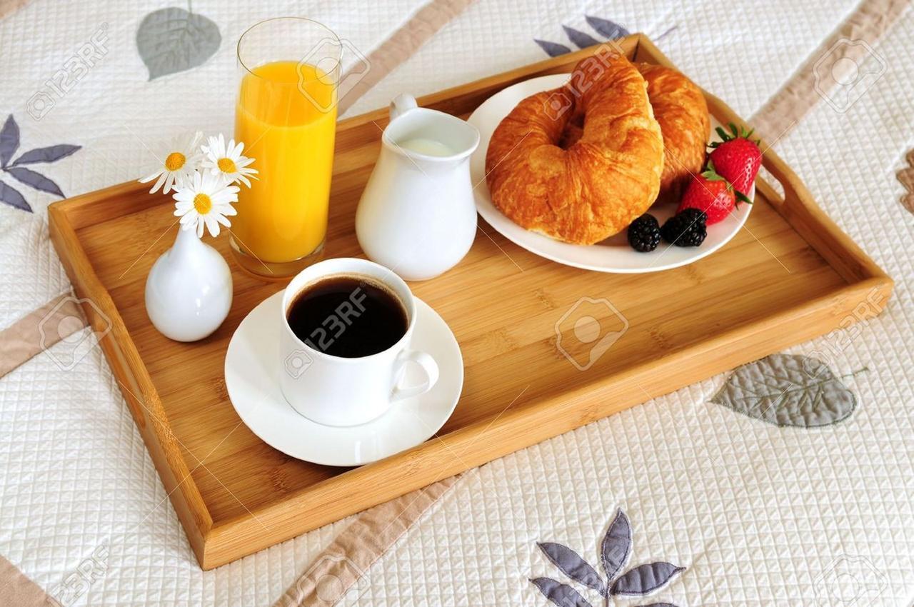 Newlands Court Motel Веллингтон Экстерьер фото